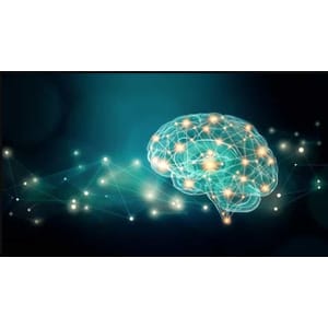 Udemy — The Neuroplasticity Masterclass: How To Rewire Your Brain 2024-5