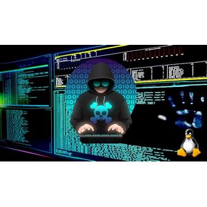 Linux Binary Analysis for Ethical Hackers and Pentesters 2025-1