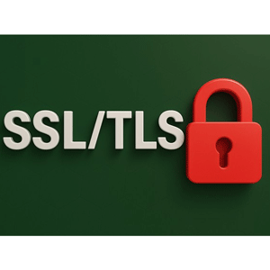 掌握 SSL TLS – Basics To Advanced – Deep Dive 2025-8