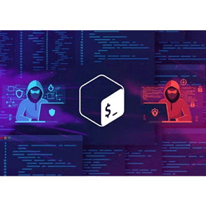 Bash Shell Scripting для Pentesters: Advanced Hacking Tactics 2025-10