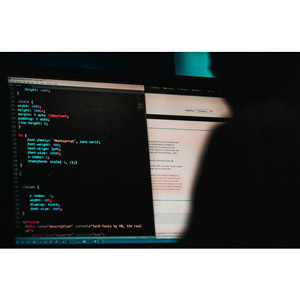 Udemy — The Complete Web Penetration Testing & Bug Bounty Course 2025-4