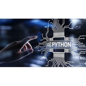 Python Programación: Aprende Python De principiante a avanzado 2025-3