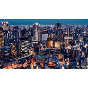 (Oxford) Diploma: Microeconomics and Business (ACCREDITED) 2026-1