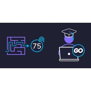 Educative — Grokking Grind 75 in Go: Mastery through Coding Patterns 2024-9