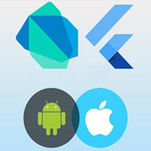 Flutter & Dart : The complete beginners guide 2024-7