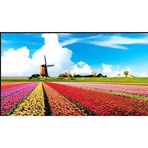 Udemy — The Complete Dutch Beginner Mastercourse (level A0 to A1) 2023-4