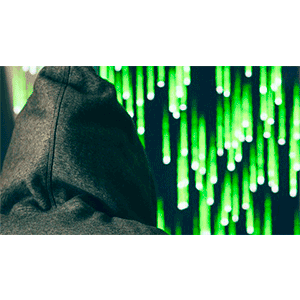 Udemy — The Complete Ethical Hacking Course! 2024-11