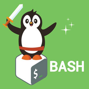 Bash Mastery: The Complete Guide to Bash Shell Scripting 2023-1