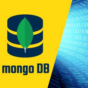 Udemy — MongoDB – The Complete Dev BootCamp | Beginner-Expert (2024) 2022-11