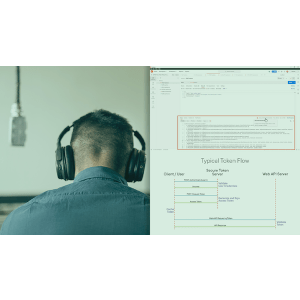 Pluralsight — ASP.NET Core 6 Web API: Best Practices 2022-7
