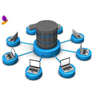Become a Database Expert: SQL 2024-11
