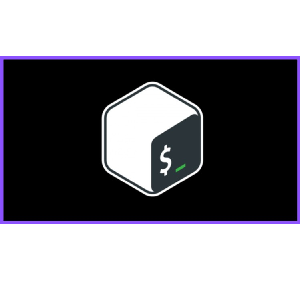 Bash Shell Scripting Bootcamp: 10 Project-Based Learnings 2023-7