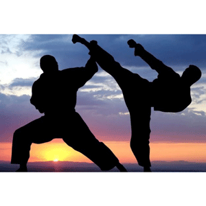 Zero to Hero - Full Blown Ninja umfassender Kurs 2023-2