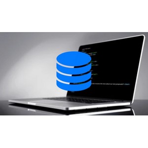 Udemy — Database Bootcamp: SQL, Python, Integration, and MORE! 2023-9