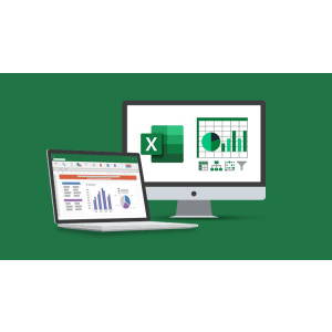 Das Ultimate Microsoft Excel Mastery Bundle - 8 Kursen 2025-12