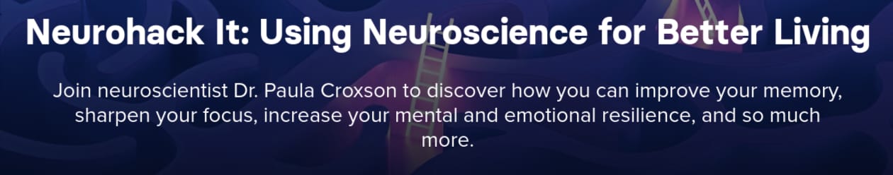 Bilder · Neurohack It: Mit Neuroscience für besseres Leben 2026-5
