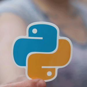 100 Days of Python Programming Challenge 2025-2