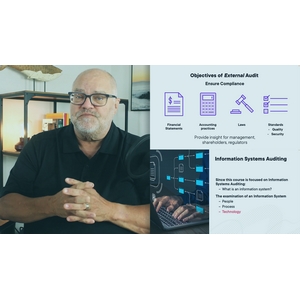Information Systems Auditing Process: Planning 2024-8