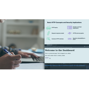 Bug Bounty Базы 2024-11