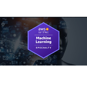 Udemy — AWS Certified Machine Learning Specialty 2024 – Hands On(V2) 2023-5