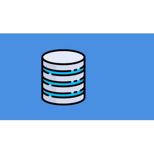 SQL & MariaDB Fundamentals: Beginner’s Guide to Databases 2024-2
