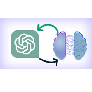 OpenAI & ChatGPT API’s: Expert Fine-tuning for Developers 2023-11
