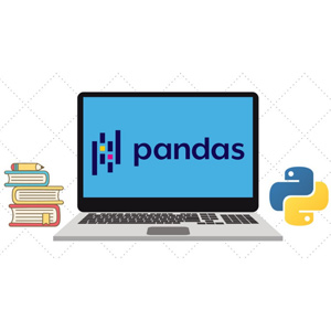 Udemy — The Ultimate Pandas Bootcamp: Advanced Python Data Analysis 2025-8