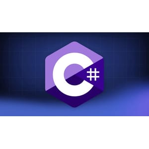 C# Ultimate Masterclass: From Absolute Beginner to Expert 2024-1/2024-6