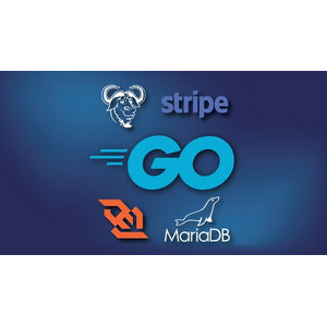 Building Web Applications with Go – Intermediate Level 2024-6