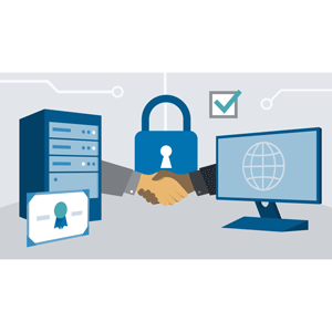 شهادات SSL للمطورين على شبكة الإنترنت 2025-3