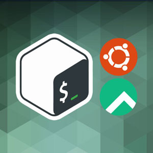The Complete Bash/Shell Developer Course 2022-12