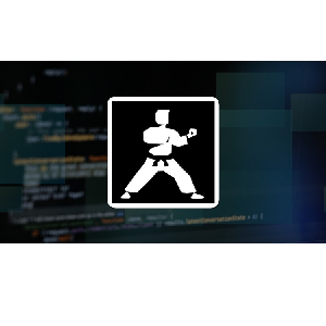 Karate DSL: API Automation and Performance from Zero to Hero 2021-11