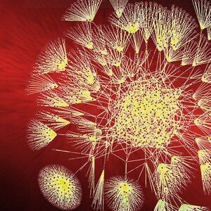 Coursera — Big Data Specialization 2025-9