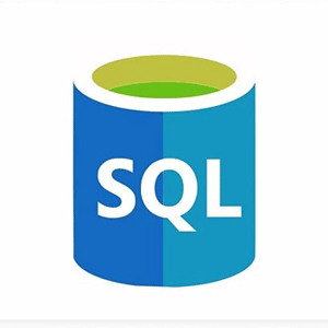 최종의 SQL Bootcamp - Go Zero to Hero에 대한 리뷰 보기 SQL 2025-3