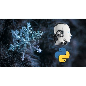 Udemy — Master Snowflake 2024 2024-1