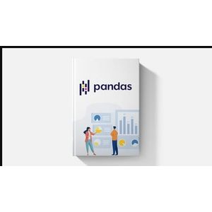 Lernen Sie Datenanalyse mit Pandas in 2025 2025-1