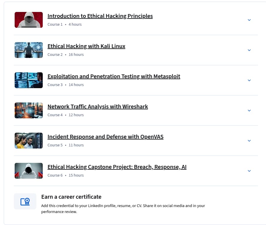 कोर्स के विषय · IBM Ethical Hacking Open Source Tools पेशेवर प्रमाण पत्र के साथ 2025-12