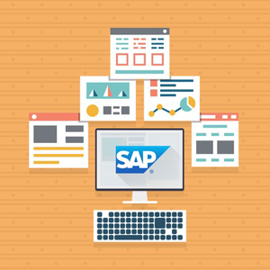 Udemy — SAP ABAP : Enhancement & Modification to SAP Standard 2019-2