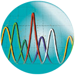Systat PeakFit 4.12.00