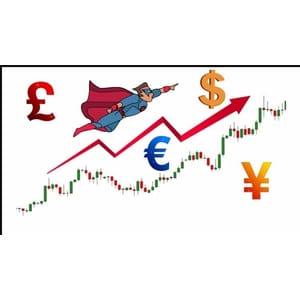 Udemy — Forex Trading Strategy Part 2 – Advanced ALM-TCS Progression 2022-8