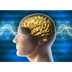 Quantum Physics에 대한 소개 2022-8