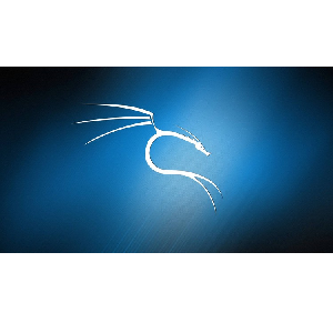 Udemy — KALI Linux Complete Course: Hacking with Kali Linux 2023-9