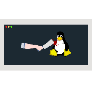 Practical Linux for Pentesting & Bug Bounties 2024-3