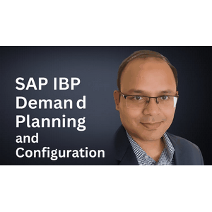 Curso Avanzado en SAP IBP (Integrado de Planificación de Negocios) 2026-2