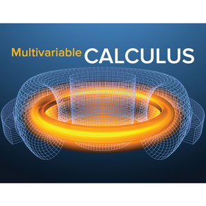 Understanding Multivariable Calculus: Problems, Solutions, and Tips 2022-7