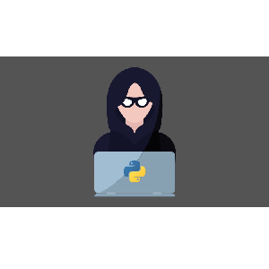 Udemy — Hacking Windows with Python from Scratch (2024) 2022-2