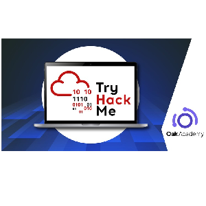 TryHackme♰ اخلاقی ہیکنگ اور سائبر سیکورٹی مہارت کو بہتر بناتا ہے 2024-3