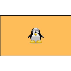 Ubuntu فوری طور پر سیکھیں: سیکھنا، عمل کریں، اور اپنی کیریئر کو آگے بڑھائیں 2022-3