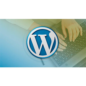 WordPress Plugin Development – Build 14 Plugins 2016-12