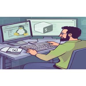 Udemy — Introduction to the Linux Command Line Interface 2025-2